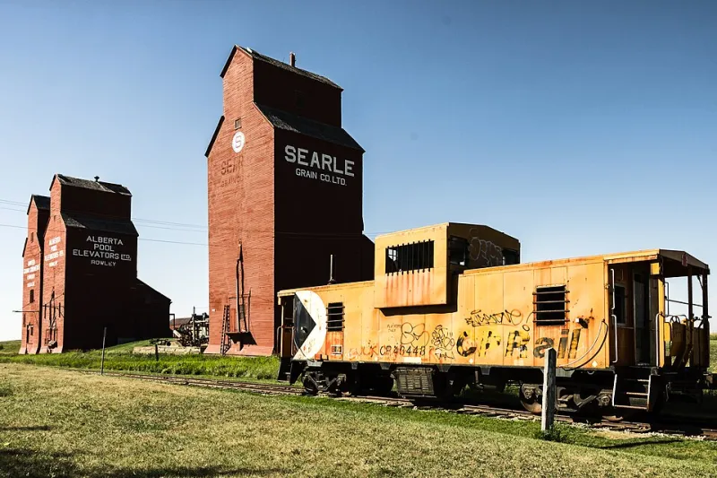 Ancient Grains, Extraordinary Pastry: The Heritage Wheat Revival Reshaping American Baking